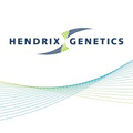 hendrix genetics