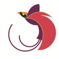 air niugini