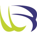 the united bank of egypt