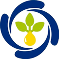 savola behshahr company