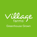 village farms international inc