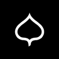 aspen skiing company
