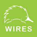 wires ltd
