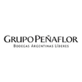 grupo penaflor