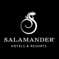 salamander collection