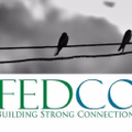 feedback energy distribution company limited