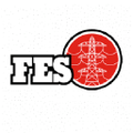 fes group