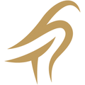 tilney group