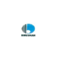 bhushan steel strips ltd