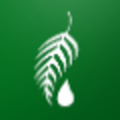 melaleuca the wellness company