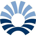 pernod ricard india