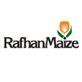 rafhan maize products co ltd