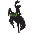 r360 environmental solutions llc