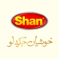 shan foods private limited