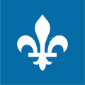 ministere de la sante et des services sociaux