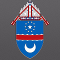 catholic diocese of arlington