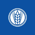 cerveceria nacional dominicana
