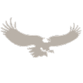 peregrine corporation