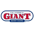 california giant berry farms
