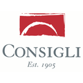 consigli construction co inc