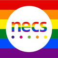north of england commissioning support