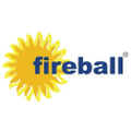 fireball securitas consultants pvt ltd