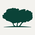 qatar foundation