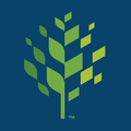 city of raleigh municipal government