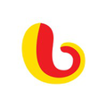 bajaj capital ltd