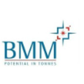bmm ispat ltd