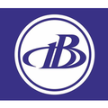 volga dnepr group