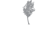 silverbirch hotels resorts