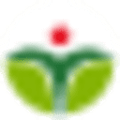 ivy hospital
