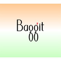 baggit india private limited