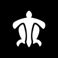 turtle limited