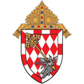 archdiocese of toronto