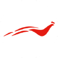 galliance