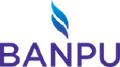 banpu public company limited