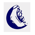 mouwasat medical services