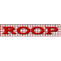 roop polymers limited