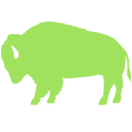 buffalo lodging associates llc
