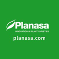 planasa
