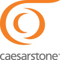 caesarstone ltd corporate