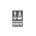 dnv oil gas