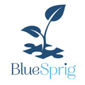 bluesprig