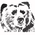 kodiak building partners