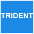trident automobiles