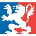 ville de lyon