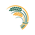 cheshire east council