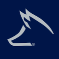fox motors